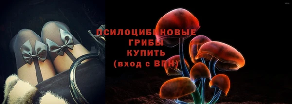 гидропоника Верея