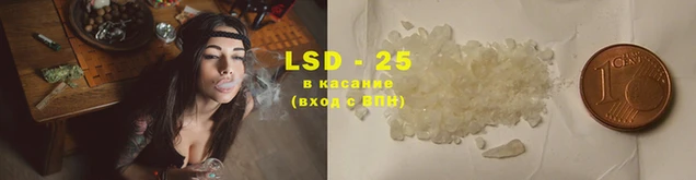 гидропоника Верея