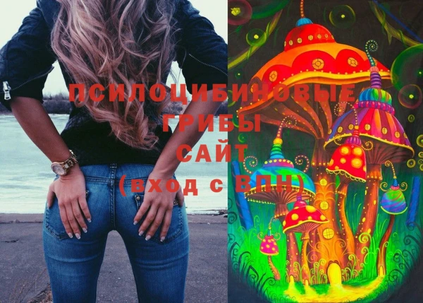 стафф Верхний Тагил