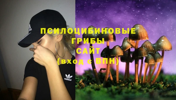 стафф Верхний Тагил