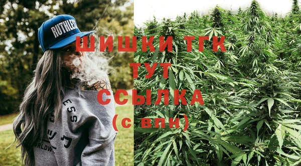 стафф Верхний Тагил