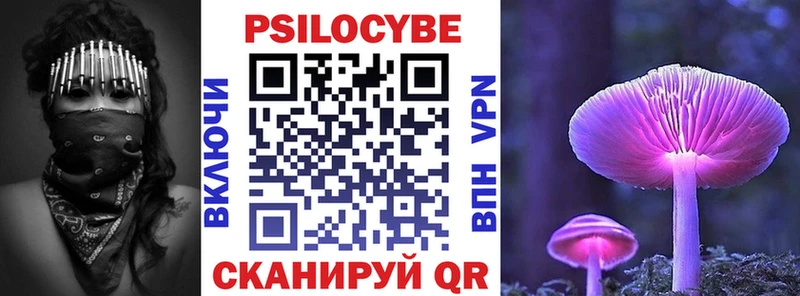 Галлюциногенные грибы Magic Shrooms  где продают   blacksprut маркетплейс  Элиста 